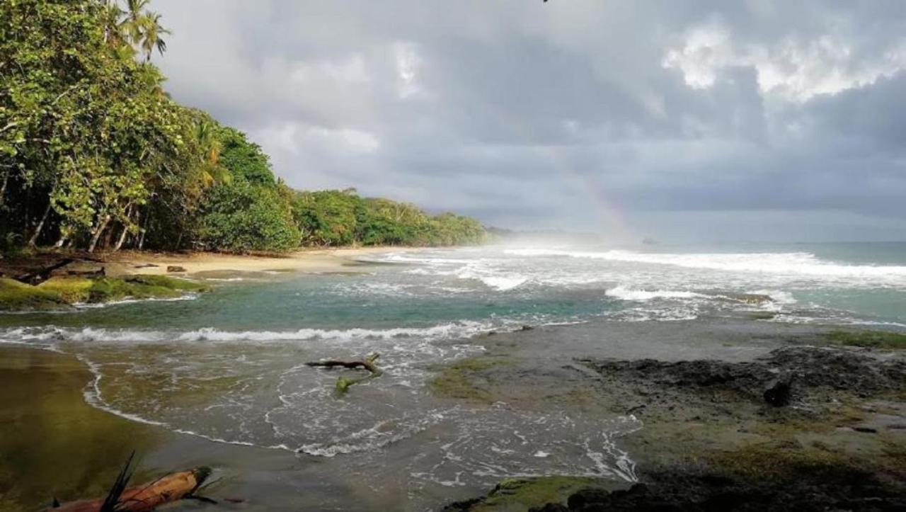 فيلاز ديل كاريب Puerto Viejo de Talamanca المظهر الخارجي الصورة