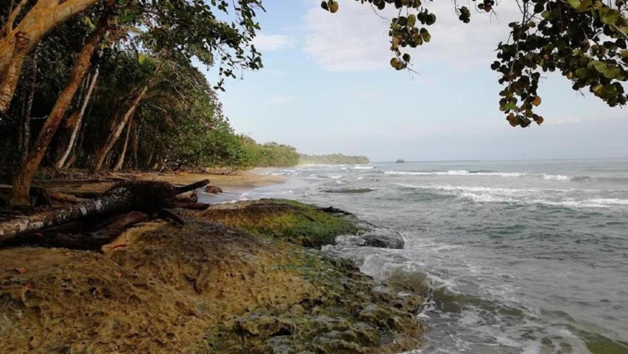 فيلاز ديل كاريب Puerto Viejo de Talamanca المظهر الخارجي الصورة