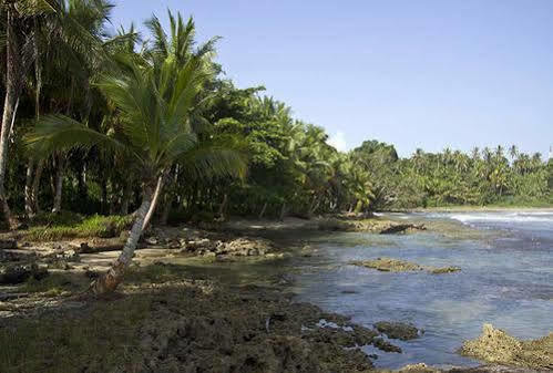 فيلاز ديل كاريب Puerto Viejo de Talamanca المظهر الخارجي الصورة